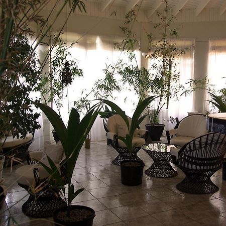 Evergreen Hotel Roseau Zewnętrze zdjęcie